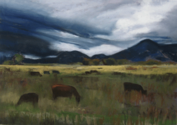 Field With Cattle